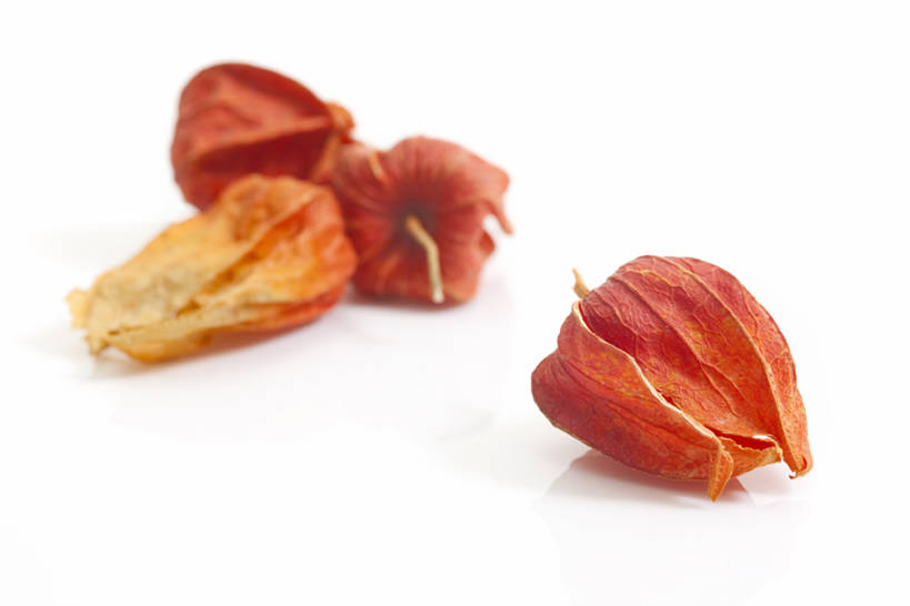 无人,横图,特写,静物,北京,中国,亚洲,药,干燥,食品,草药,饮食,饮料,干花,摄影,有机食品,影棚,多样,医疗,中国文化,摄影棚,营养品,中医,东亚,健康食物,锦灯笼,彩图,影棚拍摄,拍摄,传统文化,bj175