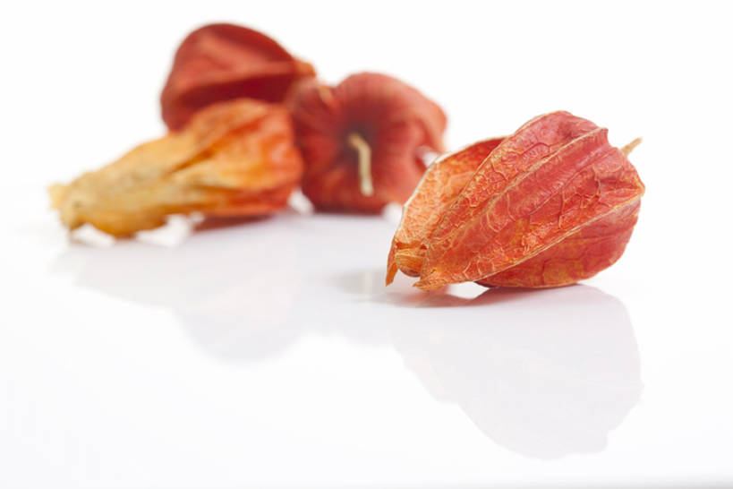 无人,横图,特写,静物,北京,中国,亚洲,药,干燥,食品,草药,饮食,饮料,干花,摄影,有机食品,影棚,多样,医疗,中国文化,摄影棚,营养品,中医,东亚,健康食物,锦灯笼,彩图,影棚拍摄,拍摄,传统文化,bj175