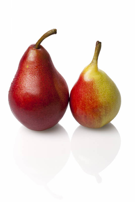 无人,竖图,室内,留白,白色背景,正面,梨,静物,水果,反射,食品,茎,饮食,两个,白色,成熟,摄影,影棚,简单,清新,摄影棚,健康食物,纯净,彩图,全身,影棚拍摄,拍摄,亚洲梨,bj175