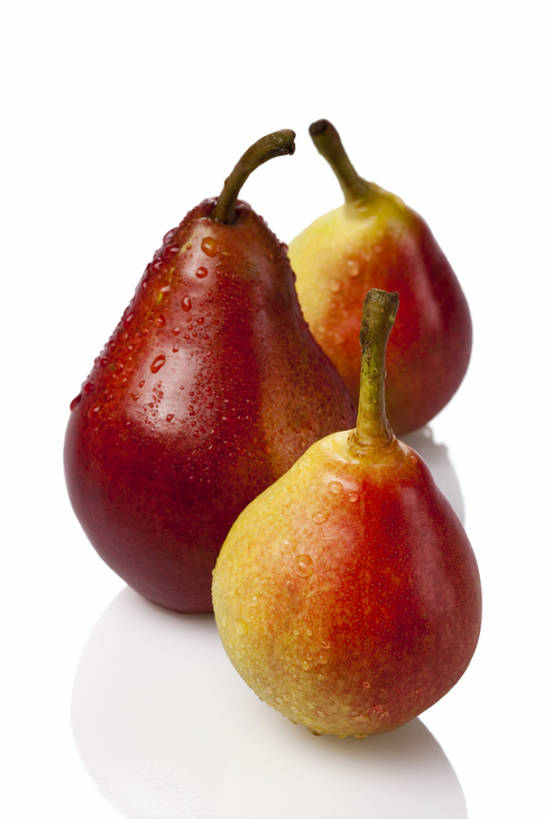 无人,竖图,室内,白色背景,正面,梨,静物,水果,一排,湿,整齐,反射,液体,水滴,食品,茎,干净,饮食,排列,三个,白色,成熟,摄影,影棚,简单,队列,清新,摄影棚,健康食物,纯净,彩图,全身,影棚拍摄,拍摄,亚洲梨,bj175