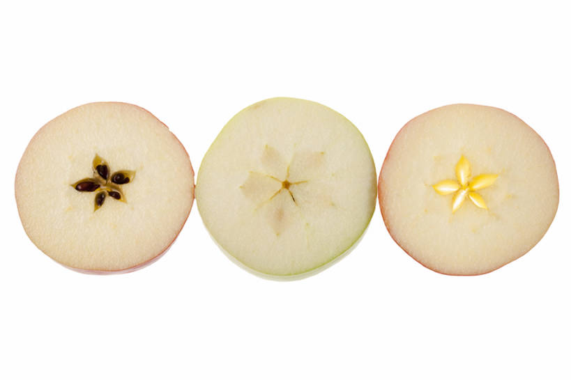 点心,面包,无人,横图,室内,特写,白色背景,正面,苹果,静物,水果,切开,食品,面点,种子,吐司,饮食,食物,糕点,一个,白色,青苹果,切,星形,摄影,影棚,单个,法式面包,部分,简单,清新,摄影棚,横截面,剖面,吐司面包,切面,健康食物,纯净,苹果核,彩图,影棚拍摄,拍摄,多士,听型面包,bj175