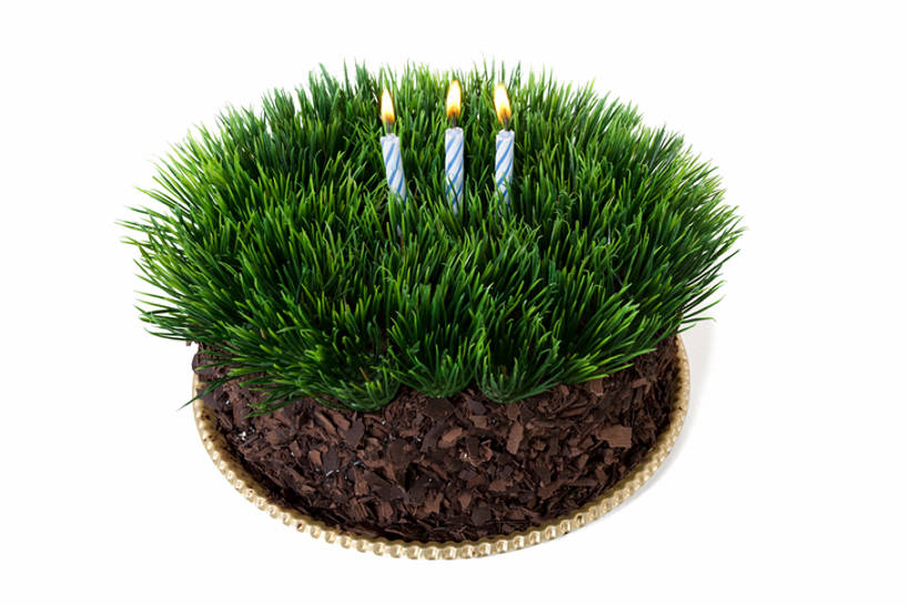 无人,横图,俯视,室内,蜡烛,中国,亚洲,庆祝,饮食,草,一个,生日蛋糕,摄影,食草动物,单个,东亚,健康食物,彩图,高角度拍摄,影棚拍摄,蛋糕,bj175