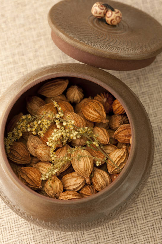 无人,竖图,特写,留白,静物,许多,干燥,香料,食品,很多,饮食,彩图,砂仁,香砂,bj175