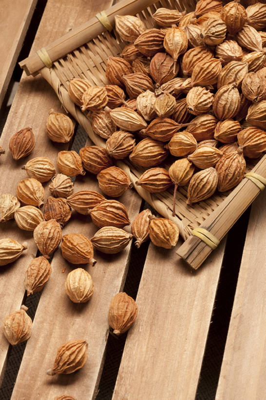 无人,竖图,特写,留白,静物,许多,干燥,香料,食品,很多,饮食,彩图,砂仁,香砂,bj175