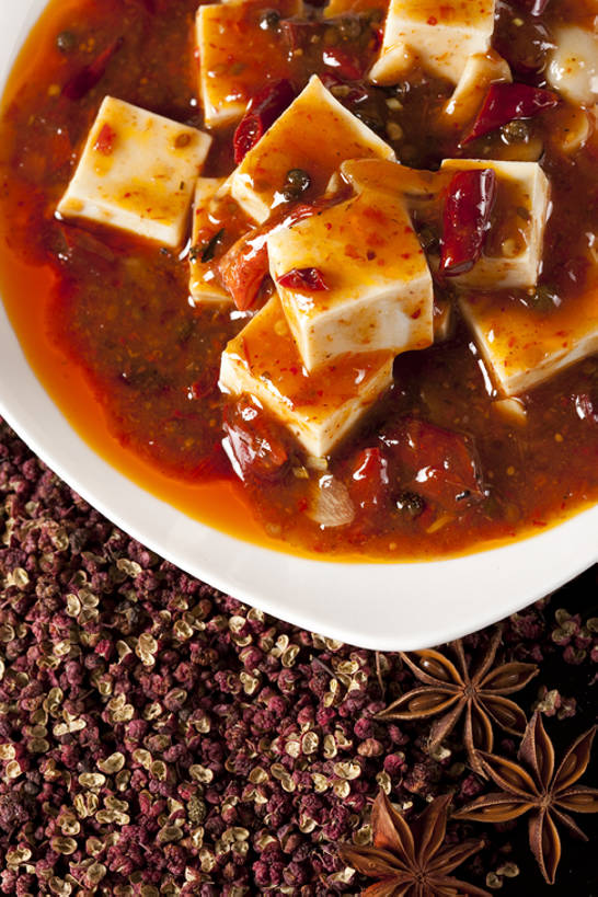 豆腐,无人,竖图,俯视,特写,辣椒,静物,中国,亚洲,黑色背景,调味,香料,佐料,美味,食品,传统,麻婆豆腐,饮食,盘子,茴香,摄影,八角,八角茴香,大茴香,膳食,中国文化,东亚,主菜,八月珠,舶茴香,大料,作料,四川菜,彩图,高角度拍摄,传统文化,麻椒,成分,bj175