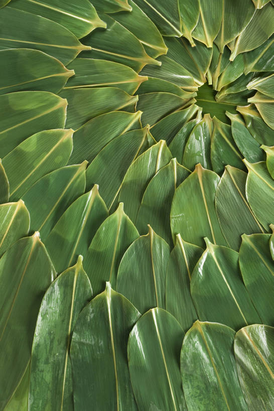 无人,竖图,特写,静物,叶子,端午节,节日,螺旋,食品,粽子,绿色,摄影,清新,中国文化,东亚文化,彩图,影棚拍摄,传统文化,传统节日,bj175