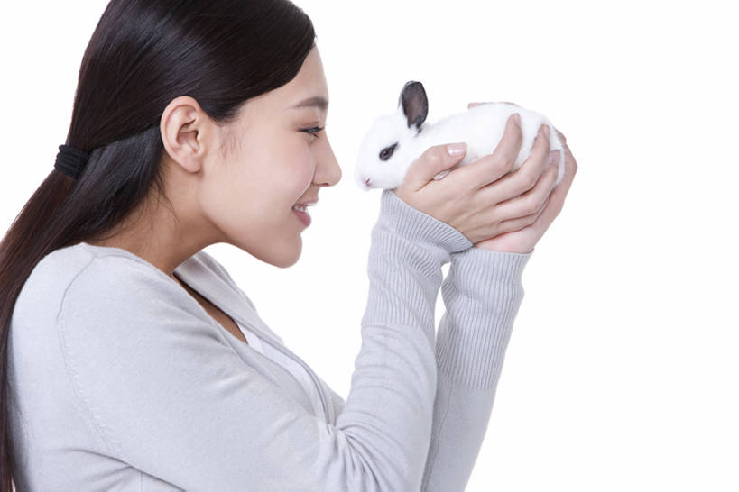 成年人,一个人,微笑,横图,白色背景,侧面,快乐,幸福,纯洁,宠物,北京,中国,亚洲,擦,抚摸,休闲装,一只,面对面,可爱,童年,童趣,擦拭,摄影,影棚,生活方式,享乐,摄影棚,童真,东亚,东亚人,烂漫,无邪,爱抚,家兔,柔和,揩擦,拭,天真,年轻女性,女人,亚洲人,中国人,年轻人,触摸,半身,彩图,影棚拍摄,爱,深情,拍摄,轻抚,bj175