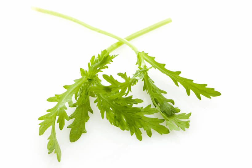 无人,横图,留白,白色背景,农业,蔬菜,静物,叶子,食品,茎,饮品,饮食,食物,饮料,绿色,摄影,有机食品,简单,可口,清新,健康食物,纯净,茼蒿,适口,彩图,影棚拍摄,bj175