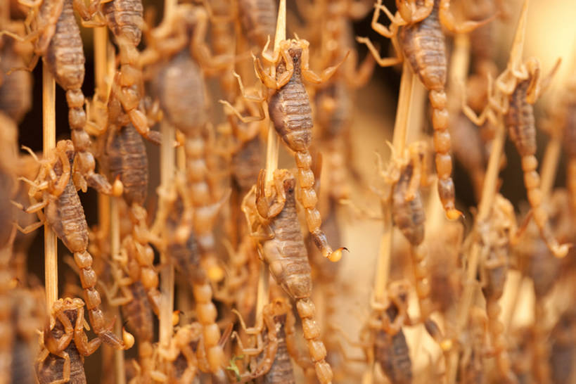 点心,无人,横图,特写,静物,北京,中国,亚洲,丰富,昆虫,油炸,美味,食品,饮品,串,货摊,小吃,饮食,竹签,食物,特产,饮料,零售,诱惑,摄影,风格,膳食,可口,蝗虫,中国文化,蝎子,东亚,羊肉串,东亚文化,取食签,零售店,适口,烤串,彩图,传统文化,街市,bj175