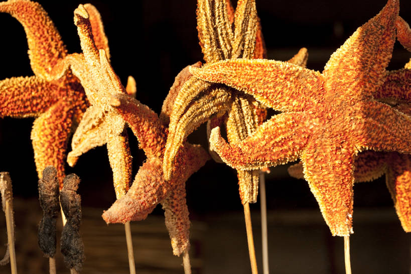 点心,无人,横图,特写,海星,静物,北京,中国,亚洲,丰富,油炸,美味,食品,饮品,串,货摊,小吃,饮食,餐饮,竹签,食物,特产,饮料,中国菜,零售,诱惑,摄影,风格,简单,可口,蝗虫,中国文化,东亚,羊肉串,东亚文化,取食签,零售店,适口,烤串,海产,彩图,传统文化,街市,bj175