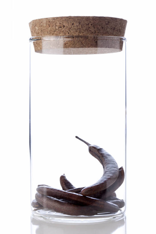 无人,竖图,留白,白色背景,静物,玻璃,北京,中国,亚洲,堆叠,反射,材料,草药,药草,软木塞,传统,自然,瓶子,干花,健康,瓶盖,摄影,有机食品,堆,医疗,简单,草本,中国文化,干的,中医,东亚,替代疗法,彩图,影棚拍摄,传统文化,皂角,成分,bj175