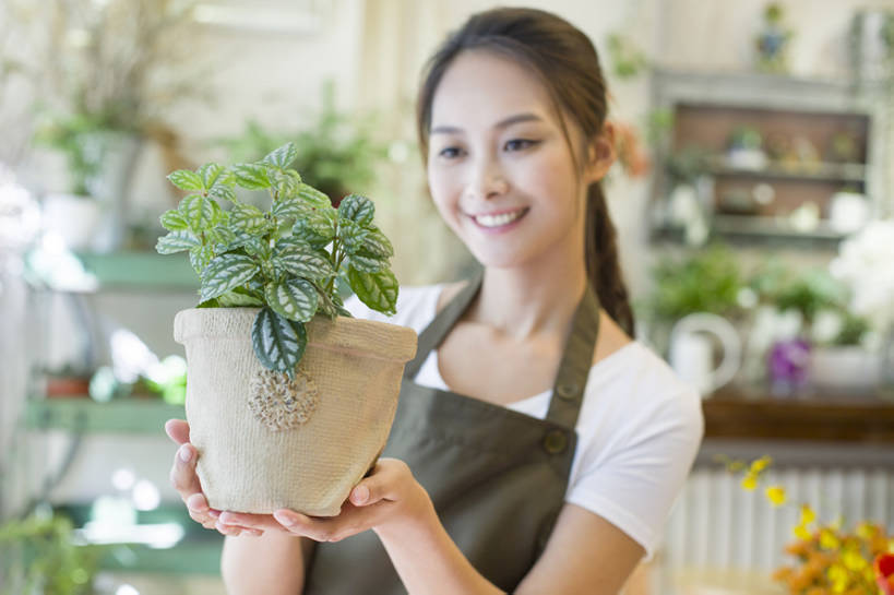 东方人,成年人,一个人,服务员,花商,花店,商店,笑,微笑,露齿笑,横图,室内,白天,正面,快乐,幸福,植物,城市,花盆,雕塑,北京,中国,亚洲,仅一个年轻女性,仅一个女性,仅一个人,握,艺术,装饰,工作,雕刻,雕像,盆栽,围裙,盆景,休闲装,现代,绿色,自然,工艺品,看,站着,职业,零售,服务,握着,摄影,生长,生活方式,成长,纪念,美术,享乐,清新,主题,陈列,贩卖,东亚,功能,美学,店主,网纹草,年轻女性,女人,女性,亚洲人,中国人,年轻人,服务生,花店老板,花贩,卖花人,侍者,售货员,叶脉,半身,彩图,欢乐,bj175