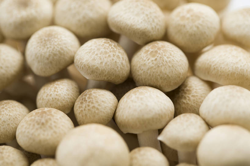 无人,横图,特写,蔬菜,静物,北京,中国,亚洲,许多,准备,丰富,材料,蘑菇,生食,美味,食品,饮品,很多,营养,饮食,餐饮,食物,饮料,健康,素食,食用菌,摄影,有机食品,维生素,真菌,膳食,可口,清新,东亚,健康食物,姬菇,适口,蟹味菇,彩图,影棚拍摄,全画幅,bj175