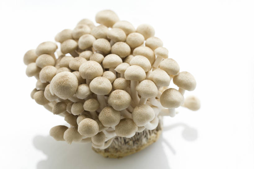 无人,横图,特写,留白,抠图,白色背景,蔬菜,静物,北京,中国,亚洲,准备,丰富,反射,材料,蘑菇,生食,美味,食品,饮品,营养,饮食,餐饮,食物,饮料,健康,素食,食用菌,摄影,有机食品,维生素,真菌,膳食,可口,清新,东亚,健康食物,姬菇,适口,蟹味菇,彩图,影棚拍摄,bj175