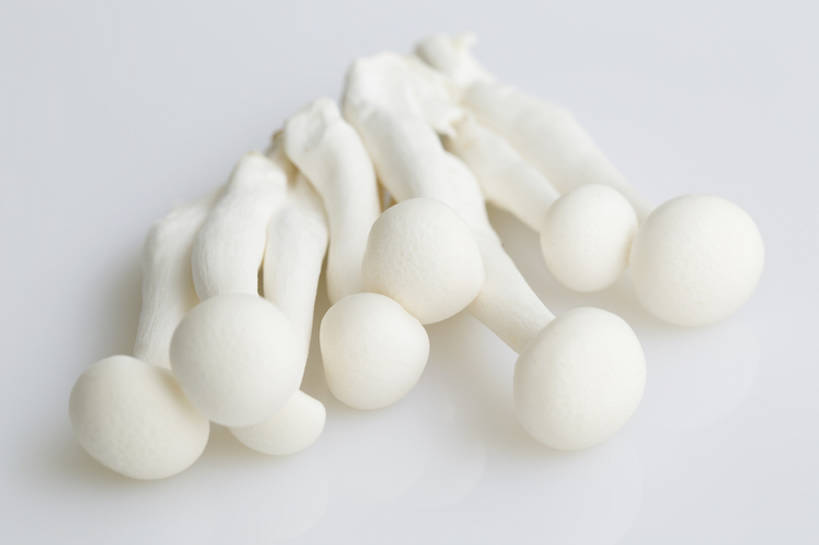 无人,横图,特写,留白,抠图,蔬菜,静物,北京,中国,亚洲,准备,灰色背景,材料,蘑菇,生食,美味,食品,饮品,营养,干净,饮食,餐饮,食物,饮料,白色,健康,素食,食用菌,摄影,有机食品,维生素,真菌,膳食,可口,清新,东亚,健康食物,姬菇,适口,彩图,影棚拍摄,白玉菇,bj175