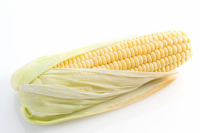 无人,横图,特写,留白,抠图,白色背景,农作物,玉米,蔬菜,静物,北京,中国,亚洲,准备,材料,生食,美味,食品,饮品,营养,饮食,餐饮,食物,饮料,一个,黄色,削皮,健康,素食,摄影,有机食品,单个,维生素,膳食,可口,清新,玉米棒,东亚,健康食物,适口,去皮,彩图,影棚拍摄,甜玉米,bj175