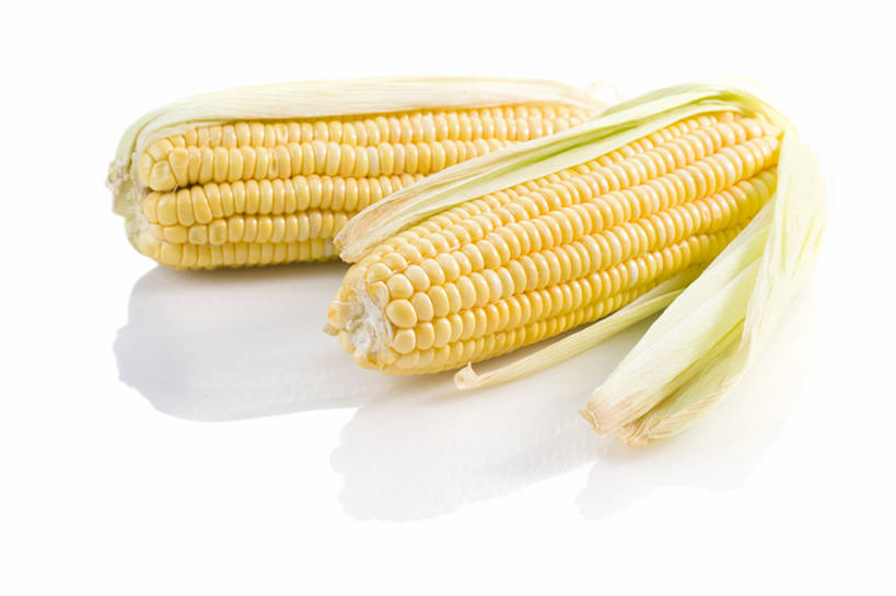无人,横图,特写,留白,抠图,白色背景,农作物,玉米,蔬菜,静物,北京,中国,亚洲,准备,反射,材料,生食,美味,食品,饮品,营养,饮食,餐饮,食物,饮料,两个,黄色,削皮,健康,素食,摄影,有机食品,维生素,膳食,可口,清新,玉米棒,东亚,健康食物,适口,去皮,彩图,影棚拍摄,甜玉米,bj175