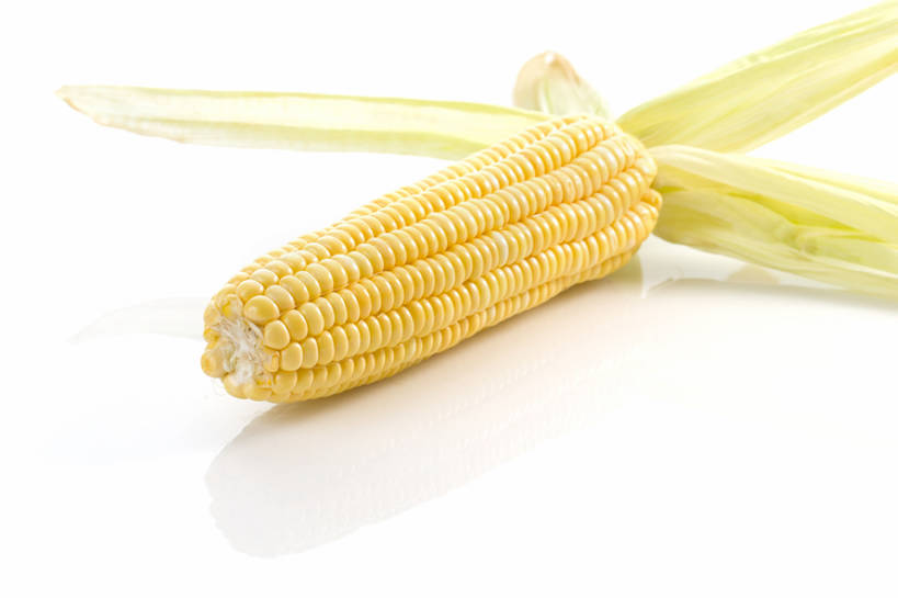 无人,横图,特写,留白,抠图,白色背景,农作物,玉米,蔬菜,静物,北京,中国,亚洲,准备,反射,材料,生食,美味,食品,饮品,营养,饮食,餐饮,食物,饮料,一个,黄色,削皮,健康,素食,摄影,有机食品,单个,维生素,膳食,可口,清新,玉米棒,东亚,健康食物,适口,去皮,彩图,影棚拍摄,甜玉米,bj175