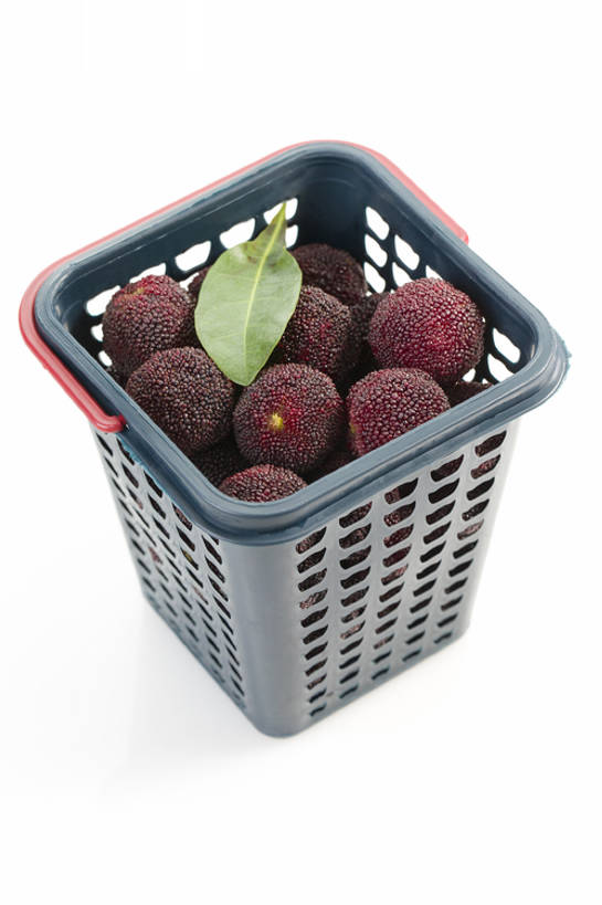 无人,交叉,竖图,特写,留白,抠图,白色背景,竹子,静物,水果,北京,中国,亚洲,许多,堆叠,竹制,丰富,新鲜,编织,篮子,塑胶,生食,美味,食品,果实,饮品,很多,营养,饮食,树叶,食物,饮料,红色,容器,竹篮,健康,素食,成熟,酸,摄影,杨梅,有机食品,绿色食品,竹条,交织,维生素,竹制品,可口,清新,东亚,健康食物,穿插,适口,彩图,高角度拍摄,影棚拍摄,bj175