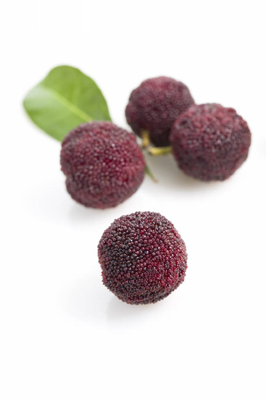 无人,竖图,特写,留白,抠图,白色背景,静物,水果,北京,中国,亚洲,美味,食品,饮品,营养,饮食,树叶,食物,饮料,红色,健康,素食,成熟,酸,摄影,杨梅,有机食品,维生素,可口,清新,东亚,健康食物,适口,彩图,影棚拍摄,bj175