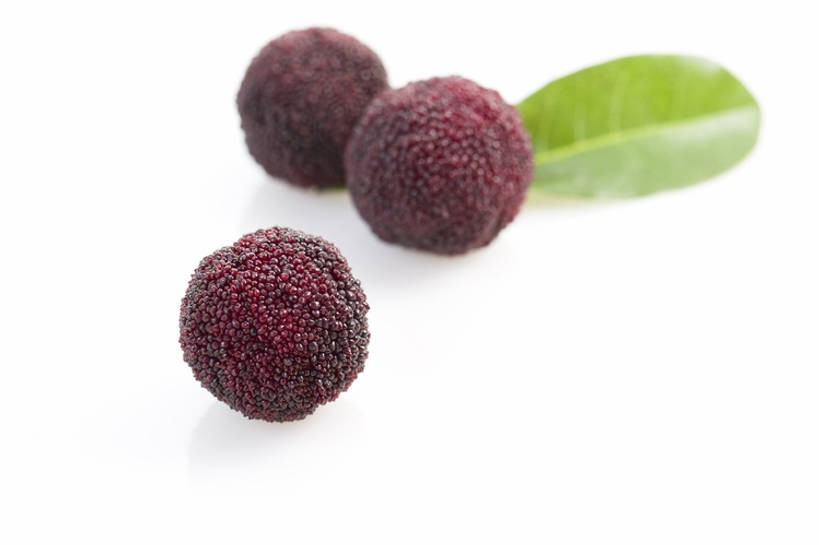 无人,横图,特写,留白,抠图,白色背景,静物,水果,北京,中国,亚洲,美味,食品,饮品,营养,饮食,树叶,食物,饮料,红色,健康,素食,成熟,酸,摄影,杨梅,有机食品,维生素,可口,清新,东亚,健康食物,适口,彩图,影棚拍摄,bj175