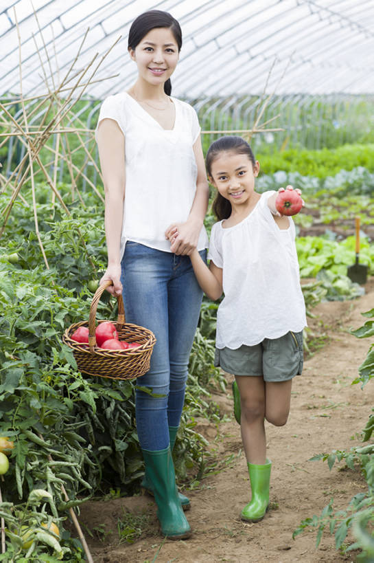 东方人,儿童,成年人,两个人,家庭,父母,母亲,女儿,菜园,农田,农场,站,笑,微笑,露齿笑,竖图,室外,白天,正面,旅游,度假,快乐,幸福,农业,庄稼,农作物,采摘,美景,植物,蔬菜,西红柿,北京,中国,亚洲,握,短裤,并排,工作,篮子,雨鞋,雨靴,景观,泥土,园艺,食品,饮品,半空,玩,温室,注视,休闲装,娱乐,现代,饮食,农庄,树叶,食物,饮料,小孩,红色,绿色,自然,夏天,观察,看,站着,享受,休闲,健康,温暖,温馨,母女,一家人,短袖,景色,放松,活力,季节,亲密,童年,握着,摄影,介绍,有机食品,生长,生活方式,收获,观看,单腿,环境,和睦,察看,享乐,关爱,关注,可口,清新,自然风光,亲情,肖像,爱好,出示,户外活动,东亚,健康食物,陪同,适口,陪伴,无忧无虑,男孩,男人,男性,年轻女性,女孩,女人,女性,亚洲人,中国人,孩子,年轻人,休闲活动,手牵手,站立,彩图,全身,欢乐,耕地,庄稼田,融洽,男生,伴随,bj175