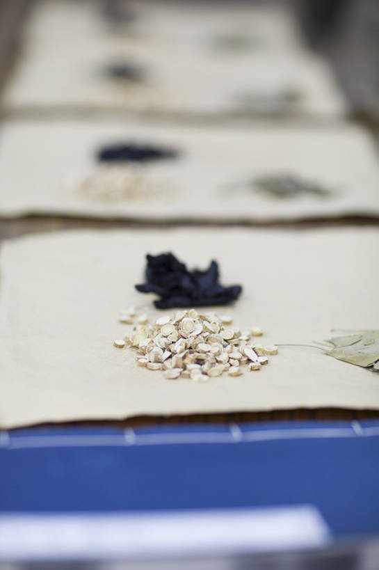 无人,竖图,室内,植物,静物,北京,中国,亚洲,药,草药,药草,传统,中药,树叶,笔记本,摄影,药房,甘草,医疗,中国文化,药材,中草药,干的,剂量,东亚,中药材,本草,替代疗法,书,银杏,彩图,熟地黄,传统文化,成分,bj175