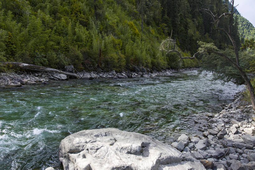 无人,横图,室外,白天,旅游,度假,河流,石头,美景,森林,山,山脉,水,植物,中国,亚洲,波纹,地形,景观,流水,山坡,水面,山谷,河床,娱乐,干净,林芝,西藏,树,绿色,风景,小溪,自然,享受,休闲,陡峭,景色,放松,茂密,摄影,流动,茂盛,宁静,环境,清新,自然风光,东亚,西藏自治区,地貌,青藏高原,地质学,自然地理,岩石,彩图,旅行,广角,南伊沟,bj175