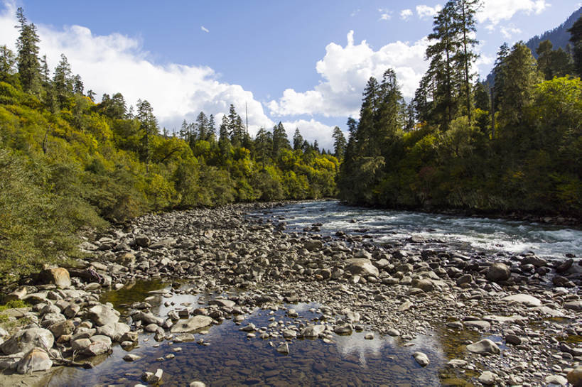无人,横图,室外,白天,旅游,度假,河流,石头,美景,森林,水,植物,日光,中国,亚洲,波纹,透明,反射,地形,河岸,景观,流水,水面,云,河床,娱乐,干净,林芝,西藏,树,蓝色,绿色,风景,天空,小溪,自然,享受,休闲,景色,放松,茂密,摄影,流动,茂盛,宁静,环境,清新,自然风光,东亚,西藏自治区,地貌,青藏高原,地质学,自然地理,岩石,彩图,旅行,广角,南伊沟,bj175