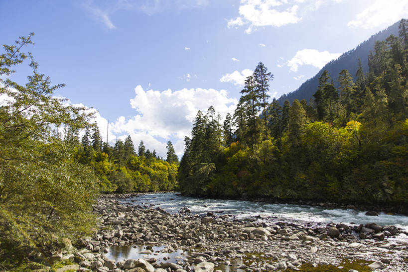 无人,横图,室外,白天,旅游,度假,河流,石头,美景,森林,山,水,植物,日光,中国,亚洲,波纹,透明,反射,地形,河岸,景观,流水,山坡,水面,云,河床,娱乐,干净,林芝,西藏,树,蓝色,绿色,风景,天空,小溪,自然,享受,休闲,景色,放松,茂密,摄影,流动,茂盛,宁静,环境,清新,自然风光,东亚,西藏自治区,地貌,青藏高原,地质学,自然地理,岩石,彩图,旅行,广角,南伊沟,bj175