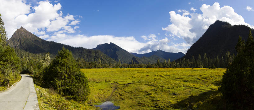 无人,横图,全景,室外,白天,旅游,度假,草地,草原,美景,森林,山,山脉,植物,路,中国,亚洲,曲折,地形,景观,路边,山顶,山坡,云,小路,云层,娱乐,林芝,西藏,草,树,蓝色,绿色,风景,天空,自然,平原,享受,休闲,景色,放松,茂密,摄影,茂盛,灌木,宁静,环境,自然风光,东亚,西藏自治区,青藏高原,坎坷,崎岖,地质学,自然地理,彩图,旅行,广角,南伊沟,bj175