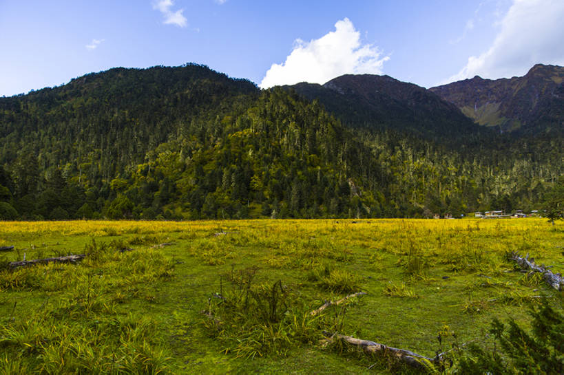 无人,横图,室外,白天,旅游,度假,草地,草原,美景,森林,山,山脉,植物,中国,亚洲,曲折,地形,景观,山顶,山坡,云,娱乐,林芝,西藏,草,树,蓝色,绿色,风景,天空,自然,平原,享受,休闲,景色,放松,茂密,摄影,茂盛,宁静,环境,自然风光,东亚,西藏自治区,青藏高原,坎坷,崎岖,地质学,自然地理,彩图,旅行,广角,南伊沟,bj175