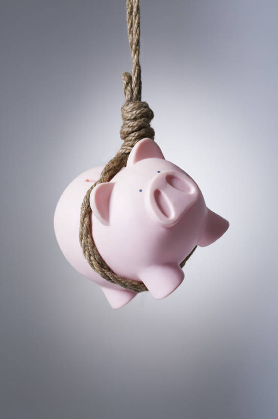 无人,花园,竖图,特写,留白,失败,风险,花圃,猪,静物,北京,中国,亚洲,吊挂,捆扎,悬挂,灰色背景,小的,塑胶,挂,粉色,绳子,概念,打结,财富,金融,投资,摄影,捆绑,危机,存钱罐,存款,东亚,绑缚,想法,小花园,彩图,影棚拍摄,圈套,小猪存钱罐,bj175