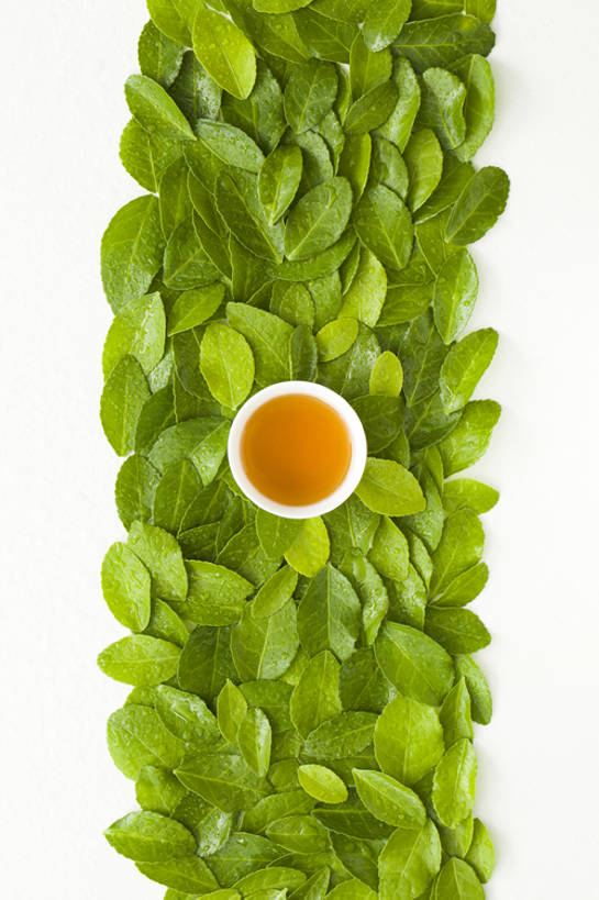 无人,竖图,俯视,特写,抠图,白色背景,水,茶,静物,北京,中国,亚洲,一排,许多,湿,形状,丰富,整齐,中间,绿茶,茶道,茶叶,很多,饮食,树叶,饮料,排列,绿色,自然,休闲,概念,健康,放松,摄影,有机食品,中国茶,宁静,高雅,简单,队列,清新,中国文化,东亚,健康食物,纯净,想法,茶杯,彩图,影棚拍摄,点滴,传统文化,bj175