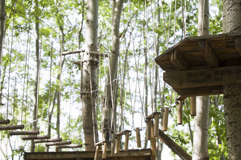 无人,公园,横图,室外,白天,仰视,旅游,度假,建材,美景,树林,建筑,北京,中国,亚洲,吊挂,悬挂,材料,木板,木材,景观,桥,郊区,挂,娱乐,木柴,树,树干,树叶,绿色,风景,自然,绳子,索桥,享受,休闲,景色,放松,平衡,摄影,建造,吊桥,木料,自然风光,户外活动,挑战,树梢,东亚,冒险,彩图,低角度拍摄,绳桥,林区,超越障碍训练场,bj175