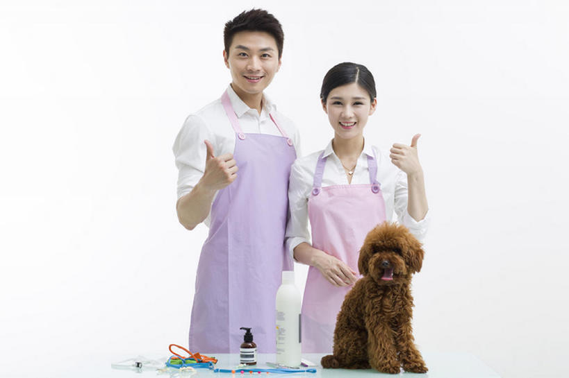 东方人,成年人,两个人,笑,微笑,露齿笑,横图,留白,正面,衬衫,快乐,满意,幸福,智慧,信心,桌子,宠物,狗,北京,中国,亚洲,灰色背景,突出,并排,工作,围裙,注视,称赞,表扬,现代,一只,动物,观察,看,手势,站着,职业,家畜,亲密,竖,服务,摄影,生活方式,观看,翘,高,察看,享乐,夸奖,优秀,关爱,关注,肖像,贵妇犬,合伙,东亚,陪同,好,妙,顺利,出色,超群,杰出,卓越,奇妙,陪伴,店主,聪明,男人,男性,年轻男性,年轻女性,女人,女性,亚洲人,中国人,年轻人,大拇指,彩图,影棚拍摄,欢乐,宠物商店,宠物美容师,打手势,伴随,bj175
