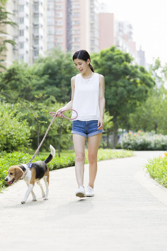 东方人,成年人,一个人,笑,微笑,露齿笑,竖图,室外,白天,正面,度假,快乐,幸福,纯洁,石头,美景,植物,城市风光,城市,建筑,路,宠物,狗,北京,中国,亚洲,仅一个年轻女性,仅一个女性,仅一个人,漫步,握,短裤,石子,景观,人行道,小路,休闲装,娱乐,现代,树,一只,绿色,动物,社区,夏天,享受,休闲,家畜,景色,放松,可爱,亲密,童年,童趣,握着,摄影,生活方式,享乐,都市风光,关爱,童真,东亚,狗链,烂漫,无邪,陪同,陪伴,天真,年轻女性,女人,女性,亚洲人,中国人,年轻人,石块,岩石,休闲活动,步行,彩图,全身,欢乐,小猎犬,居住区,伴随,bj175