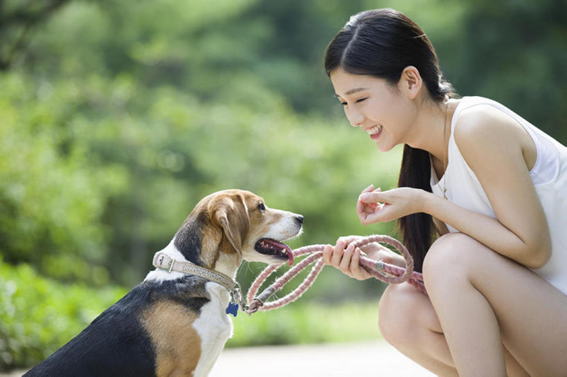 东方人,成年人,一个人,蹲,笑,微笑,露齿笑,横图,室外,白天,侧面,快乐,幸福,纯洁,植物,宠物,狗,北京,中国,亚洲,仅一个年轻女性,仅一个女性,仅一个人,漫步,握,短裤,玩,注视,休闲装,现代,树,一只,绿色,动物,夏天,观察,看,休闲,面对面,家畜,放松,活力,可爱,亲密,童年,童趣,握着,摄影,生活方式,观看,察看,享乐,关爱,关注,童真,东亚,狗链,烂漫,无邪,陪同,陪伴,无忧无虑,天真,年轻女性,女人,女性,亚洲人,中国人,年轻人,休闲活动,彩图,欢乐,小猎犬,伴随,bj175