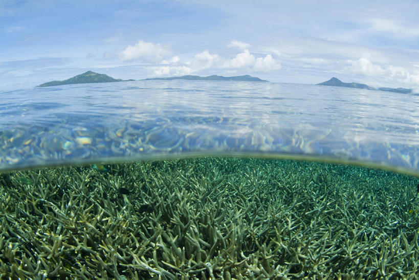 水下,海洋,密克罗尼西亚,亚洲,珊瑚,水面,天空,暗礁,彩图,bj175