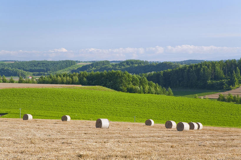 白天,旅游,度假,美景,亚洲,地形,景观,干草,娱乐,风景,天空,自然,草垛,夏天,享受,休闲,景色,放松,收获,自然风光,干草垛,彩图,bj175