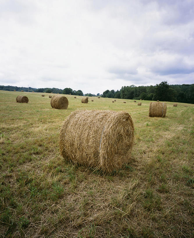 室外,旅游,度假,美景,法国,欧洲,地形,景观,云,干草,娱乐,风景,天空,自然,草垛,享受,休闲,景色,放松,收获,自然风光,利穆赞,干草垛,彩图,bj175