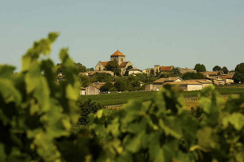 无人,果园,教堂,横图,室外,白天,建筑,法国,欧洲,房屋,乡村,葡萄园,自然,摄影,生长,清新,彩图,bj175