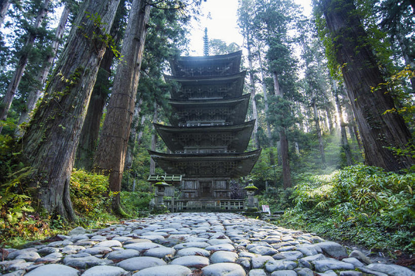 无人,寺庙,横图,室外,白天,度假,美景,森林,城市风光,城市,建筑,日本,景观,雪松,古典,历史,娱乐,佛塔,享受,休闲,景色,放松,摄影,建造,山形县,古代文明,彩图,建筑结构,bj175