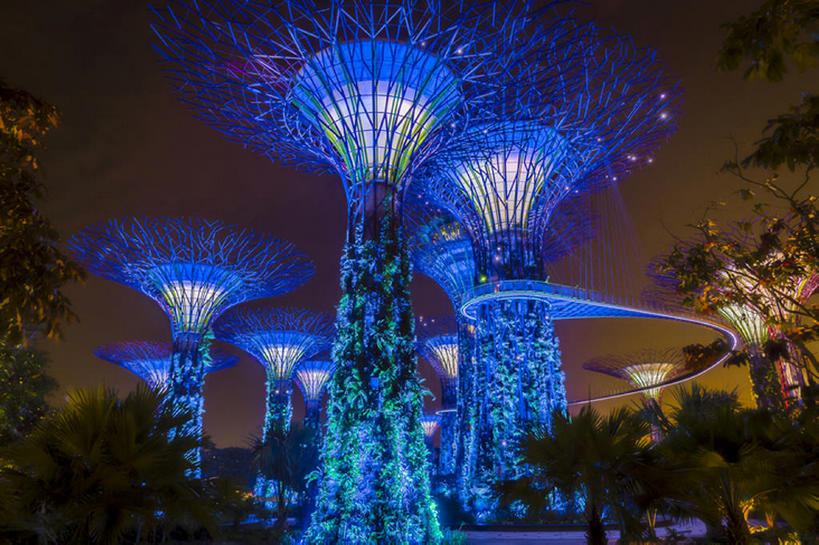 植物园,横图,室外,夜晚,新加坡,亚洲,照亮,bj175