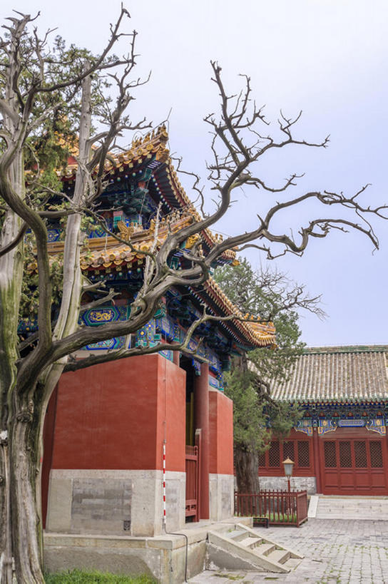 竖图,室外,白天,北京,中国,亚洲,建造,东亚,国子监,bj175