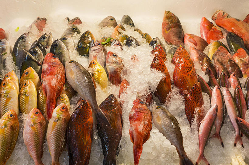 无人,横图,台湾,丰富,鱼,冰,食品,鱼市,bj175