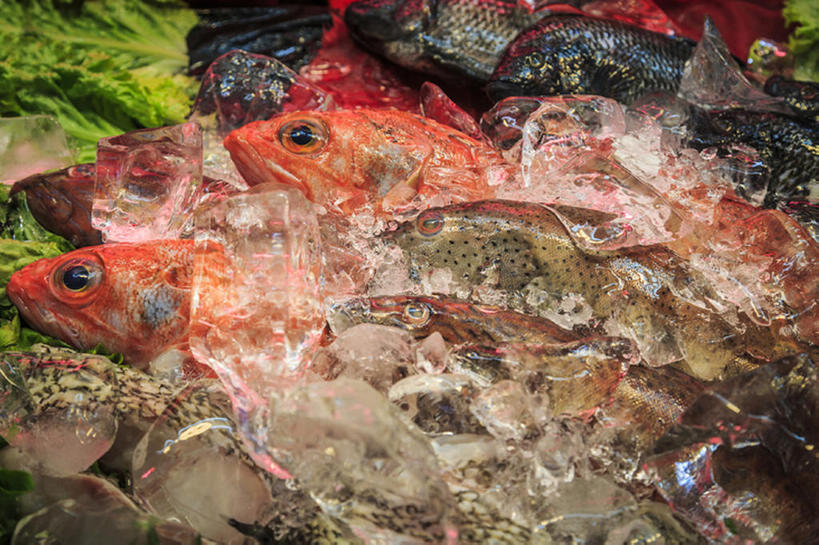 无人,横图,台湾,亚洲,鱼,冰,食品,台北,bj175