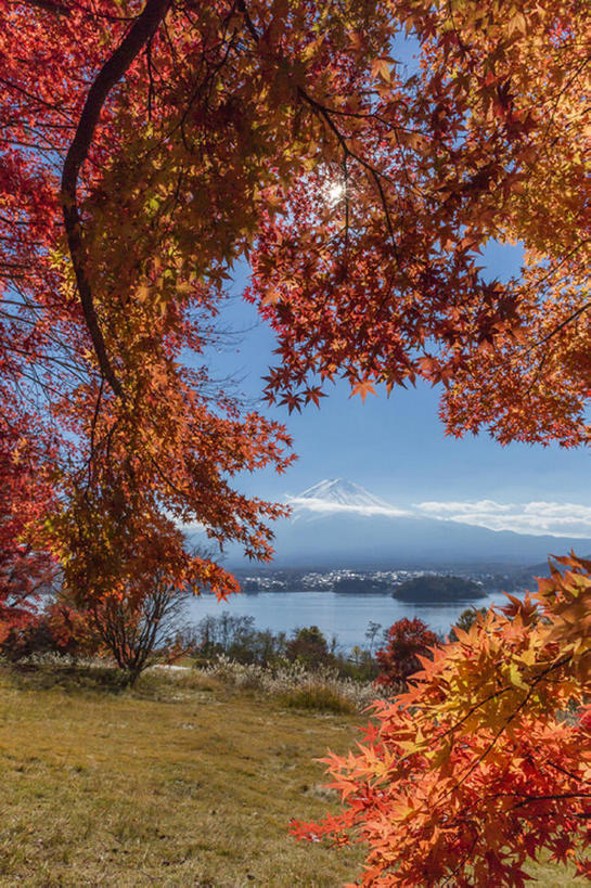 竖图,室外,白天,湖,秋季,山,雪,叶子,日本,木制,地形,枯叶,落叶,天空,山梨县,叶,叶片,秋,秋天,河口湖,bj175