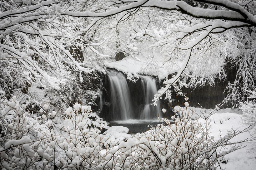 横图,室外,白天,瀑布,雪,奈良县,日本,亚洲,冰,地形,冬天,树,风景,自然,东亚,本州,本州岛,日本国,近畿地方,山梨县,奈良,近畿,吉野郡,bj175