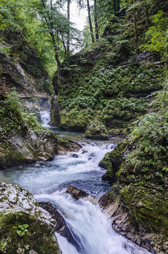 竖图,室外,白天,河流,森林,峡谷,欧洲,斯洛文尼亚,自然,bj175